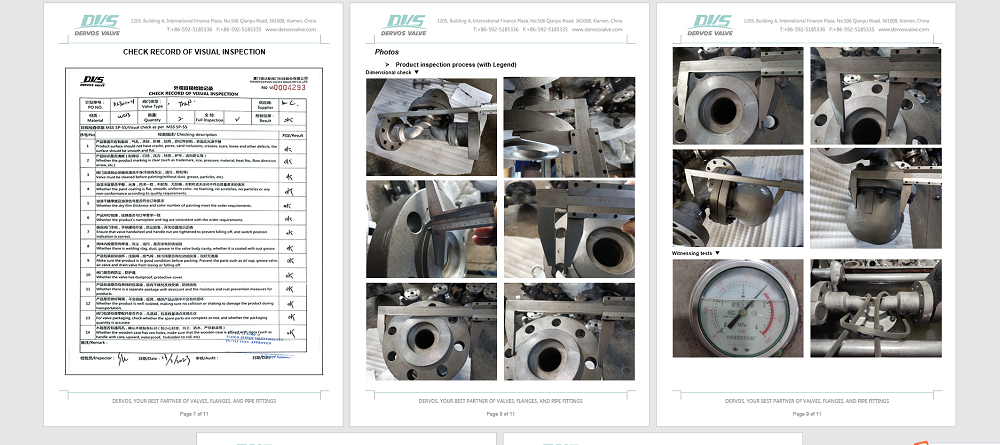 Steam Trap Valve