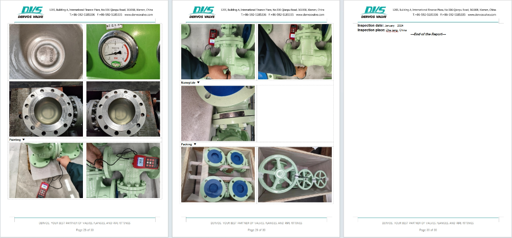 Cast Steel Gate Valve