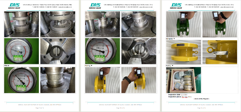 Dual Plate Wafer Type Check Valve