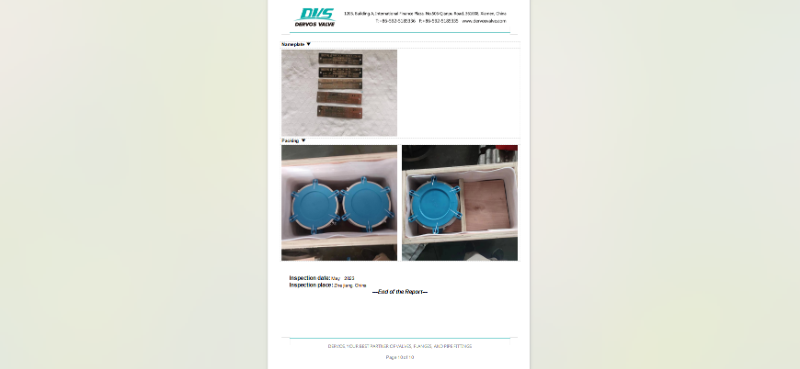 A995 4A Dual Plate Wafer Check Valve