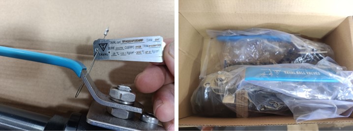 Forged Floating Ball Valve