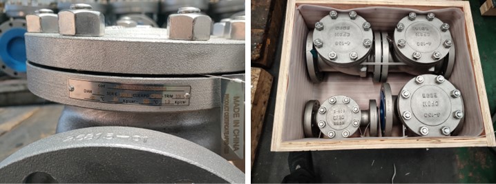 Cast Steel Swing Check Valve