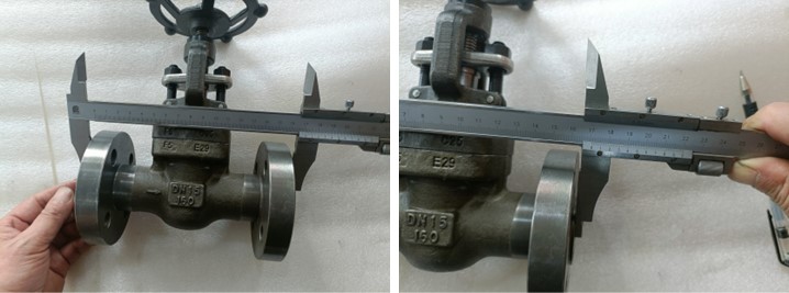 Forged Steel Globe Valve