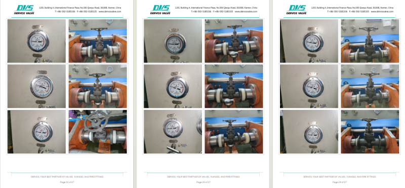 Forged Steel Globe Valve