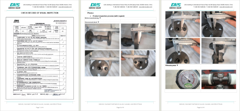 Stainless Steel Globe Valve