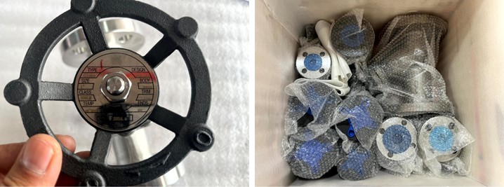 Stainless Steel Globe Valve