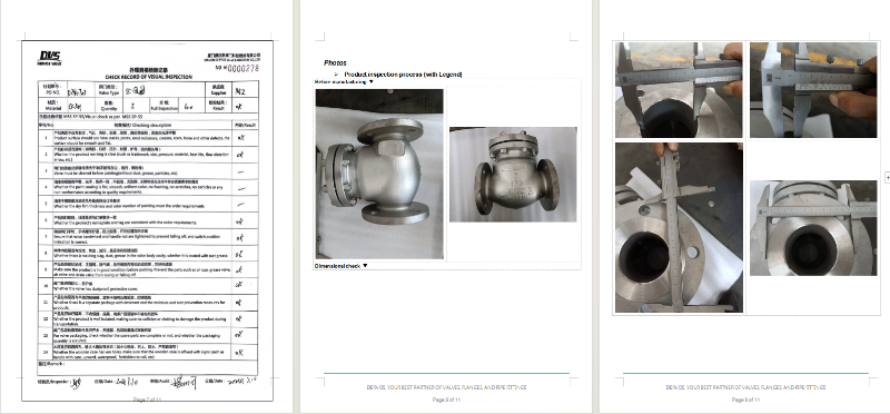 Cast Steel Swing Check Valve