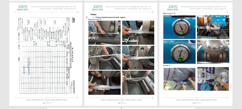 Cast Steel Gate Valve