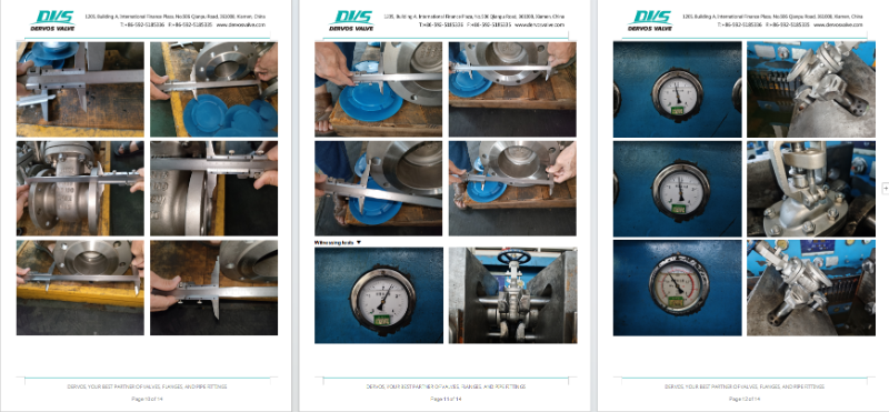 Stainless Steel Gate Valve