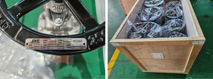 Stainless Steel Gate Valve