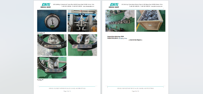 Stainless Steel Gate Valve
