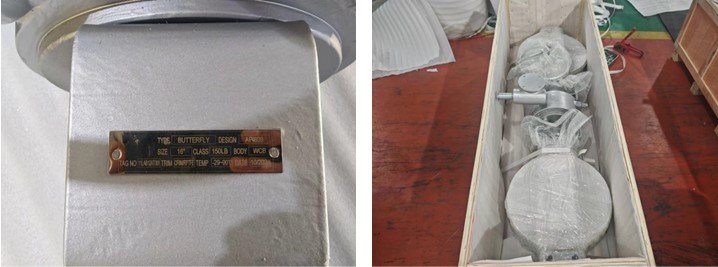 Double Offset Butterfly Valve 