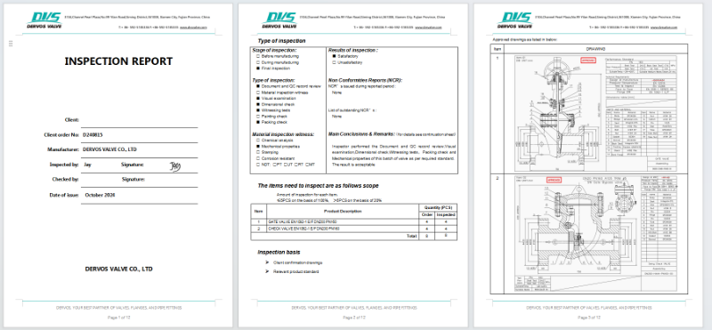 Cast Steel Gate Valve