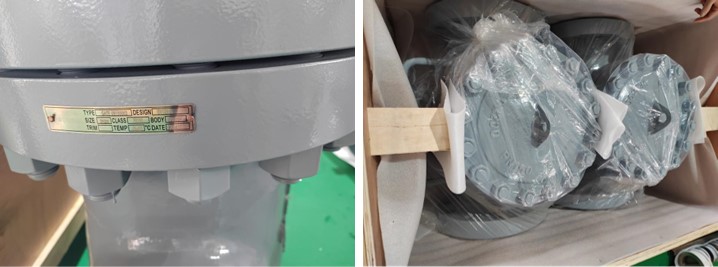 Cast Steel Gate Valve