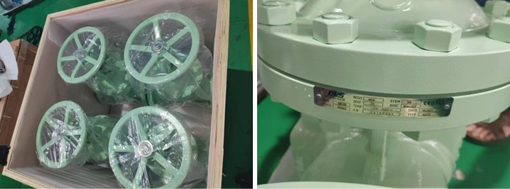 Swing Check Valve 