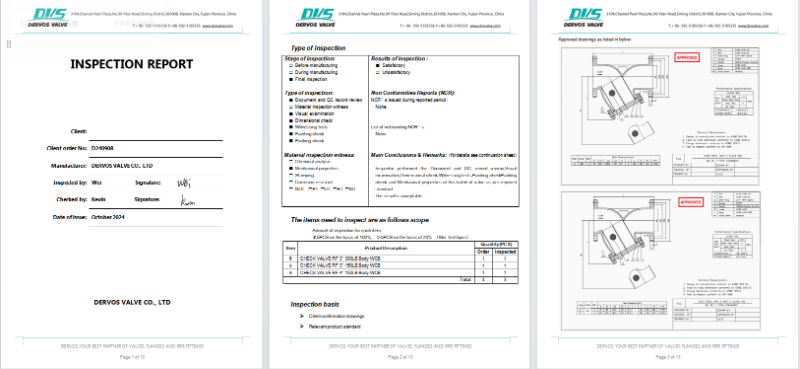 CE Certification Y Type-Strainer