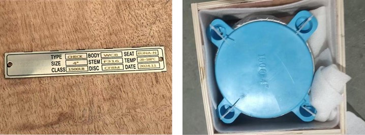 Dual Plate Wafer Type Check Valve