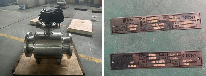 Forged Trunnion Ball Valve