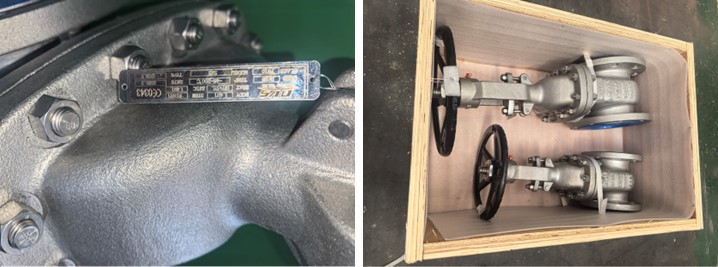 Stainless Steel Gate Valve