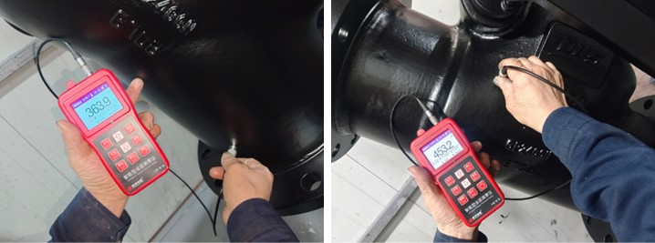 Swing Check Valve