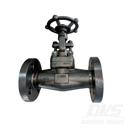 Globe Valve