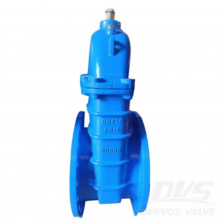 Ductile Iron Gate Valve