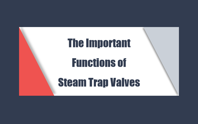 The Important Functions of Steam Trap Valves